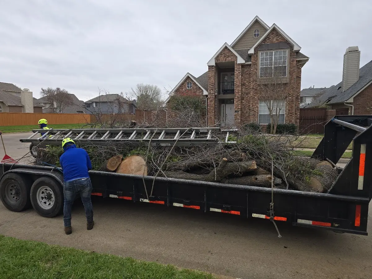 Expert Tree Fertilization with proper safety equipment in South Fulton